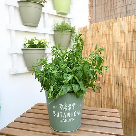 Jolie Maison * Brindisi