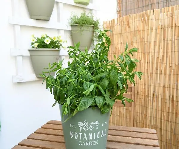 Jolie Maison * 브린디시